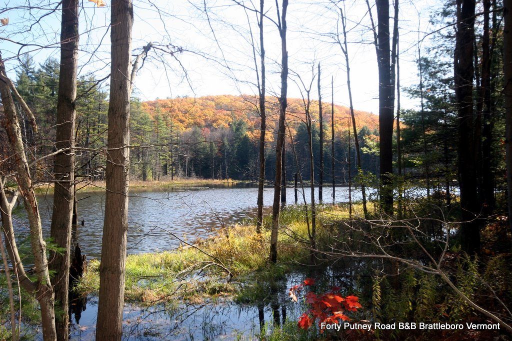 Madame-Sherri-Hike-Chesterfield-25