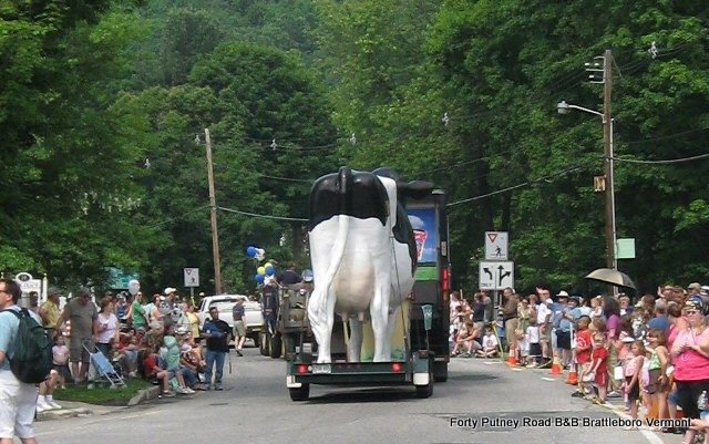 Strolling-of-the-heifers