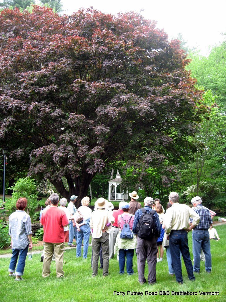 tree-tour-2