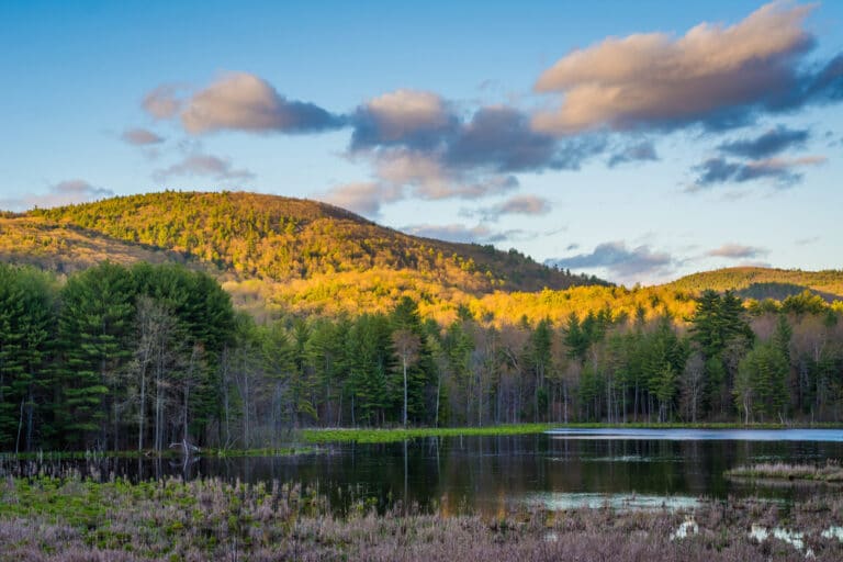 10 Best Things To Do In Brattleboro VT